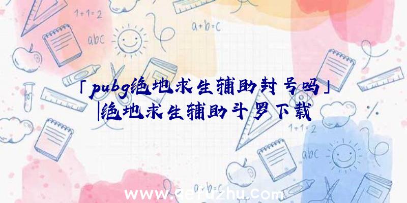 「pubg绝地求生辅助封号吗」|绝地求生辅助斗罗下载